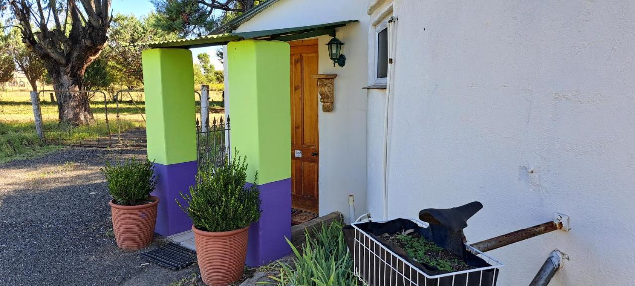 Purple House B&B Smithfield Zewnętrze zdjęcie